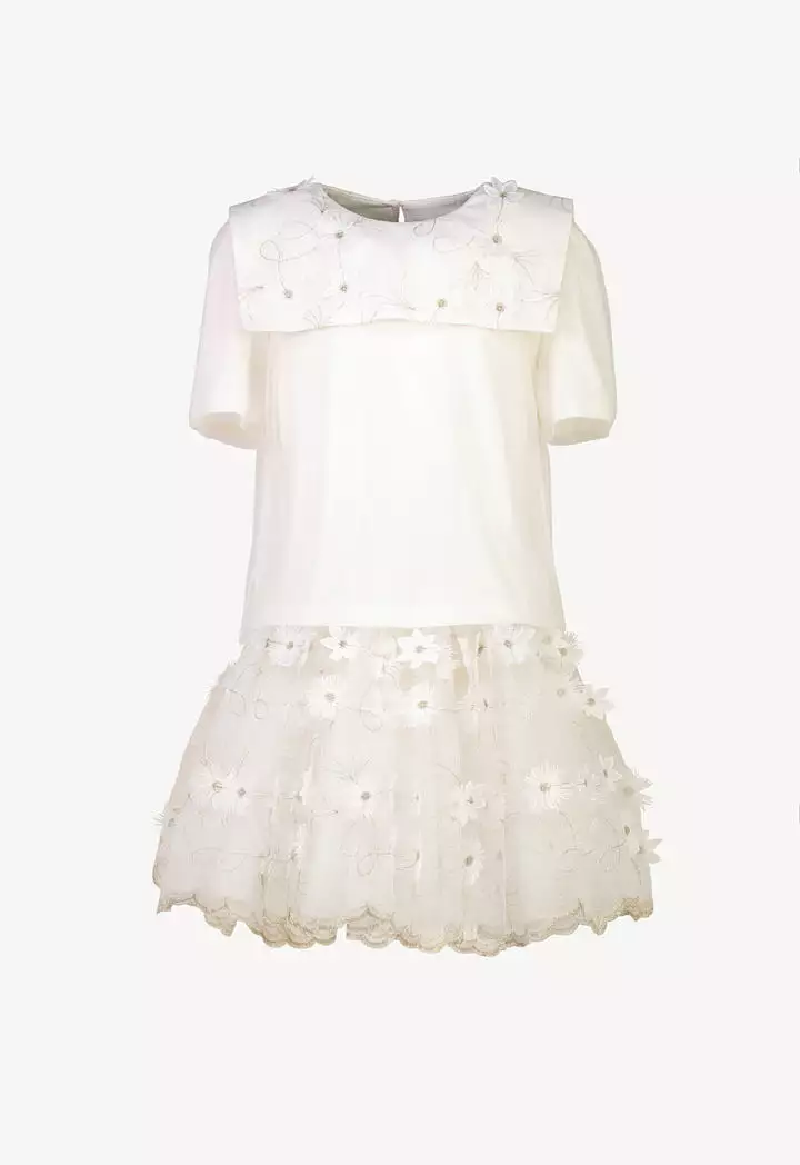 Embroidered Square Collar Sheer Blouse And Skirts Set