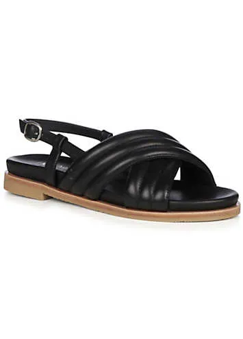 EMU Australia Borradaile Black Sandals | Grattan