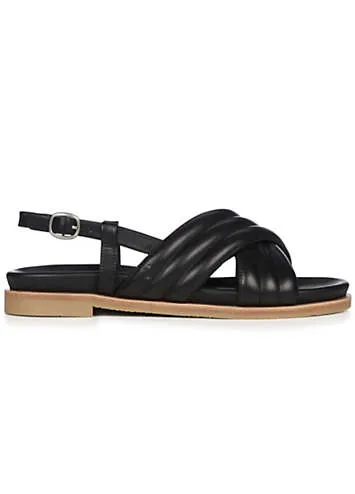 EMU Australia Borradaile Black Sandals | Grattan